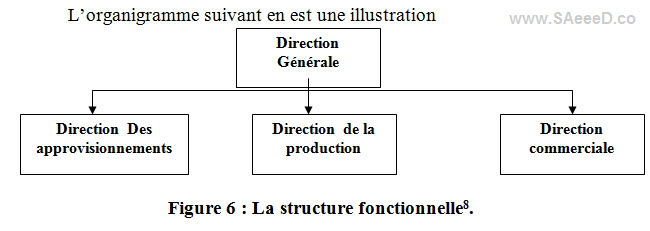 La structure fonctionnelle