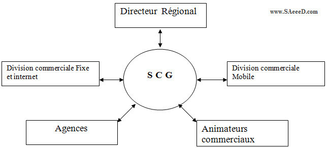 Les acteurs intervenant dans le reporting