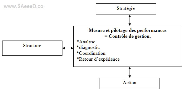Contrôle de gestion à la croisée des disciplines de gestion - Mesure et pilotage des performances