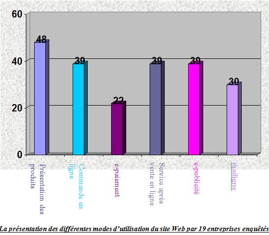 La présentation des différentes modes d'utilisation du site Web par 19 entreprises enquêtés