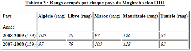 tic-pays-arabe-4 Rangs occupés par chaque pays du Maghreb selon l'IDI.
