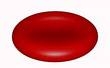 Hématie (globule rouge)