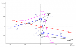 les situations sur le marché du travail