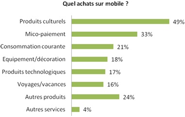 Le m-commerce aujourd’hui en France, Marketing prédictif