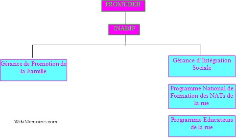 Institutions officielles défendant les droits de l’enfant au travail