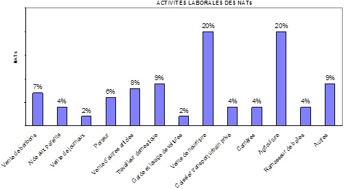 Activités professionnelles des NATs