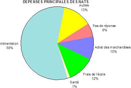 Dépenses principales des NATs