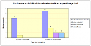 Choix entre scolarité traditionnelle et scolarité en apprentissage