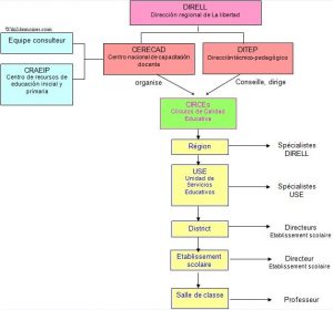 Organisation et niveaux d’exécution des CIRCEs