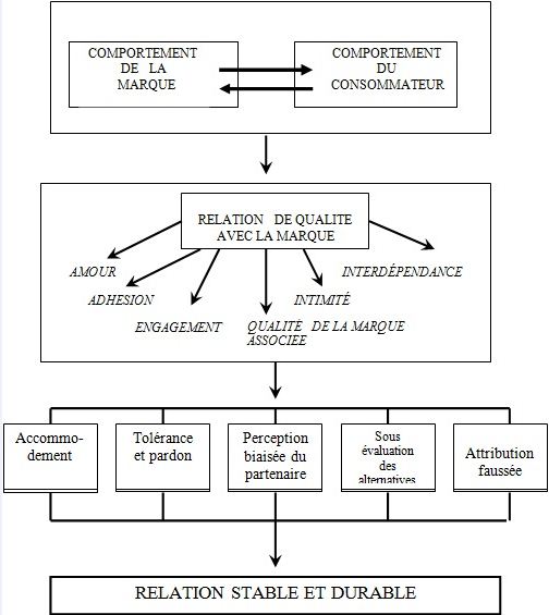 modèle aboutissant à des relations stables et durables entre la marque et le consommateur