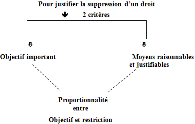 Les chartes et la liberté d’expression et la publicité