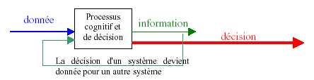 processus cognitif et décisionnel