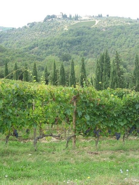 Photographie du paysage chiantigiano