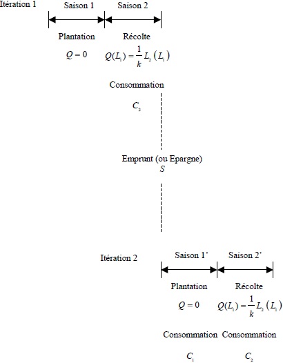 Structure du modèle