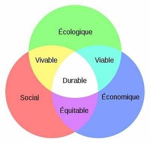 Le développement durable et le marché immobilier