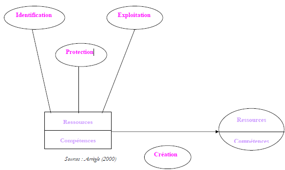 Le management des ressources et des compétences Le management des ressources et des compétences