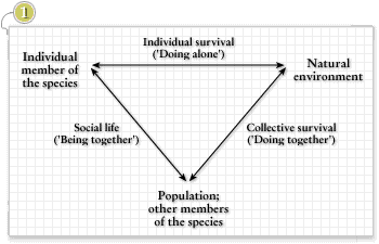 Structure of activity in transition from animal to human, Engeström, 1987, p. 76 Structure of activity in transition from animal to human, Engeström, 1987, p. 76