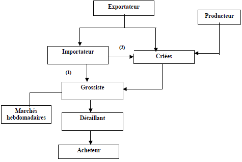 La structure des circuits de distribution des fleurs coupées