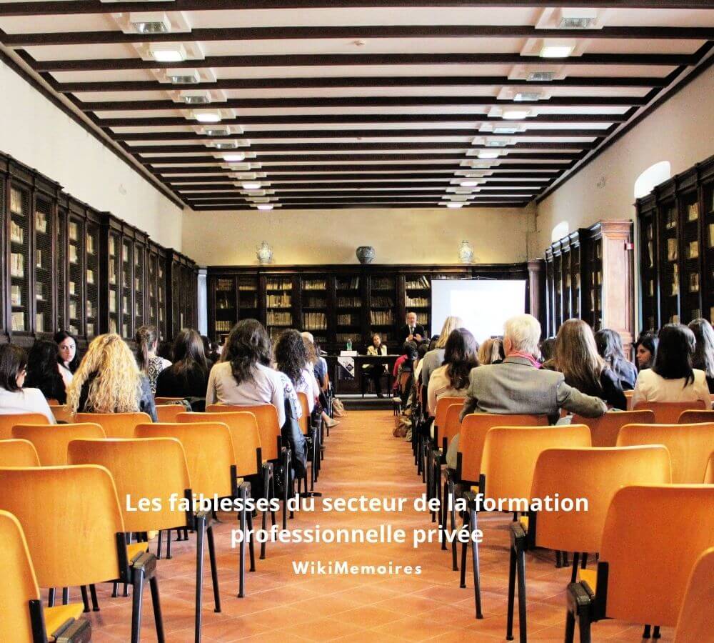 Les faiblesses du secteur de la formation professionnelle privée