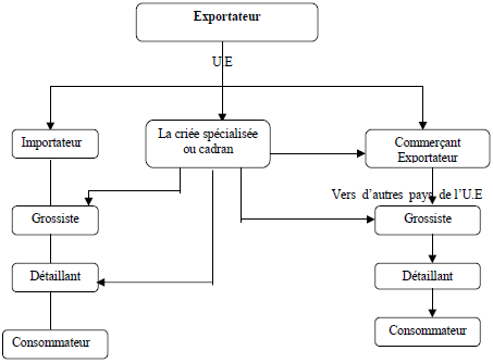Le marché de l’UE des fleurs coupées Le marché de l’UE des fleurs coupées