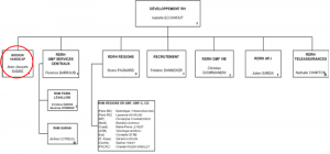 Organigramme du pôle développement de la DRH 