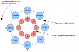 Programme des accouplements raisonnés