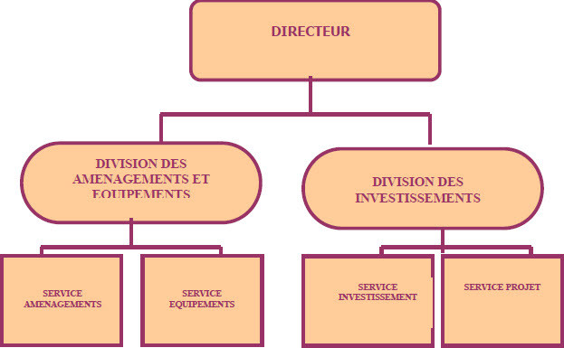 Organigramme de la DAI