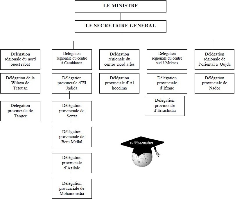Organigramme des services extérieurs du Département du Tourisme