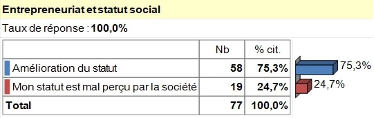 Entrepreneuriat et statut social