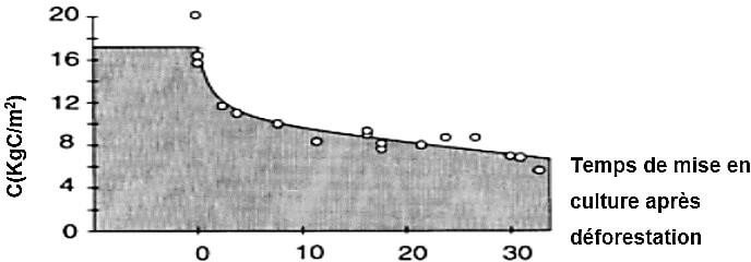 Courbe typique de décroissance du stock de carbone d’un sol forestier après mise en culture