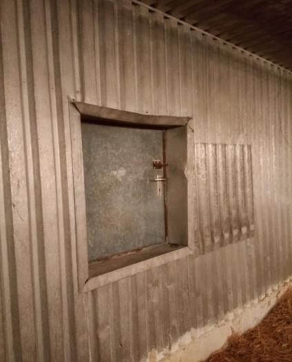 Bâtiment d'élevage de poulet