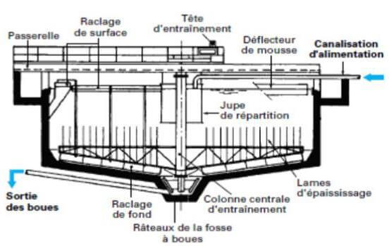 décanteur cylindro-conique