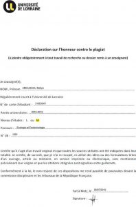 Déclaration sur l’honneur contre le plagiat