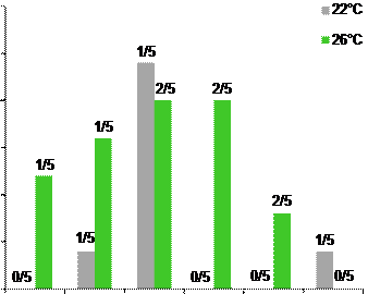 Nombre d’œufs de Daphnia magna en fonction des facteurs de stress (gauche) et photos de daphnies (A = non contaminées portant des embryons et B= contaminées portant un œuf) en fin d’exposition.