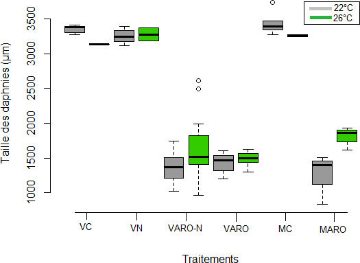 Taille des daphnies en fin d’exposition