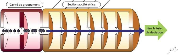 Section accélératrice à onde progressive