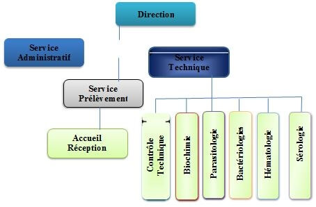 système de gestion des clients - Schémas d’étude