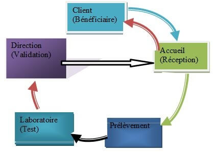 analyse du système d’information - Présentation du circuit