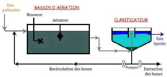 Le traitement biologique - Schéma du traitement biologique aérobie à boue activée