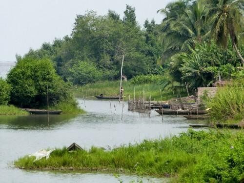 Sites de collecte des crevettes - Aperçu du site de Hèvè (lagune de Grand-popo/Mono)
