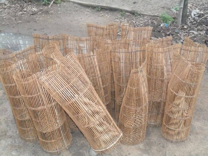 Nasses de capture et de stockage de M. vollenhovenii