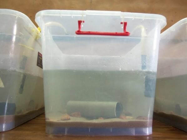 Sites de collecte des crevettes - Présentation de l’infrastructure d'essai de densité de charge