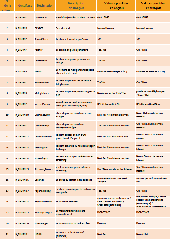 Dictionnaire des métadonnées (Source personnelle)