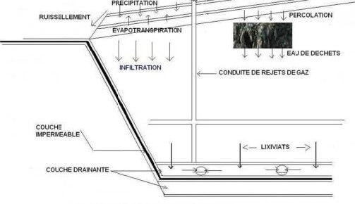 Coupe d’un CET de classe II