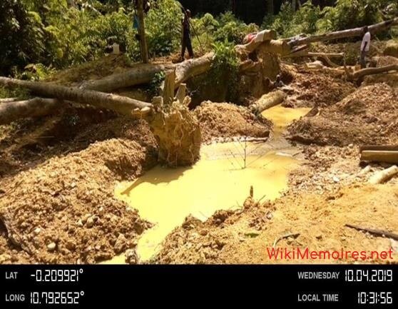 Impact sur l'environnement