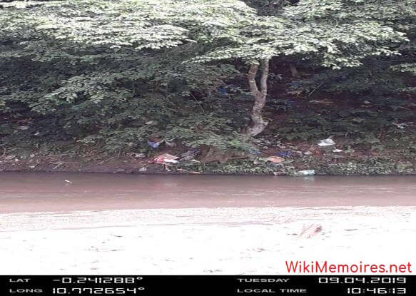 Ordures des employés