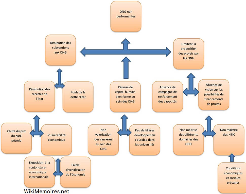 L’efficacité de l’action des ONG