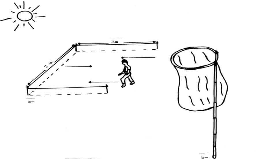 Méthode des quadrats : a)- carré d’échantillonnage ; b)- filet fauchoir