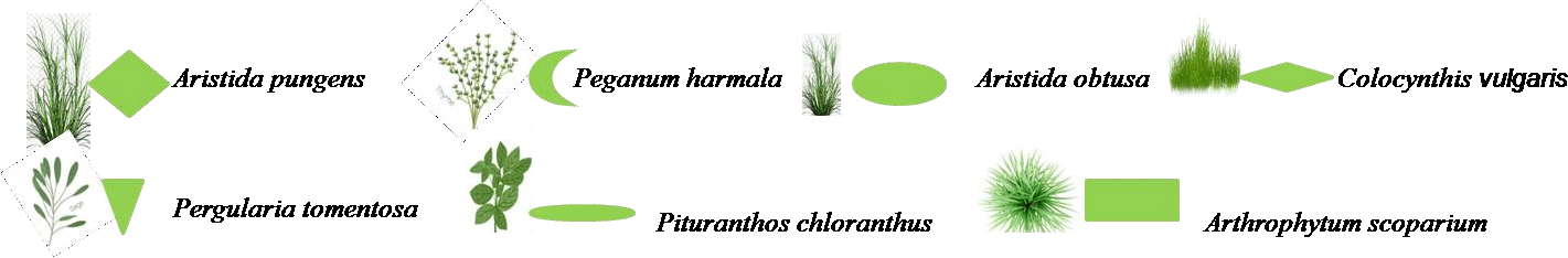 Transect végétal en milieu non cultivé