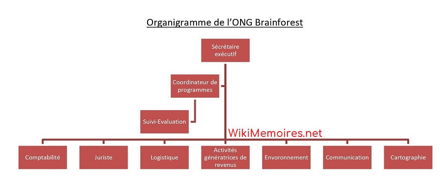 Organigramme de l’ONG Brainforest